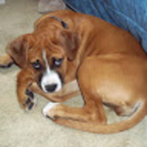 Meet your Posher, Dylan